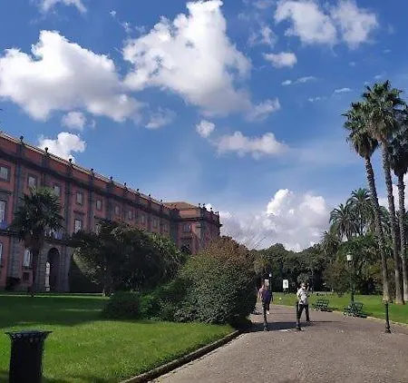Cagnazzi Napoli